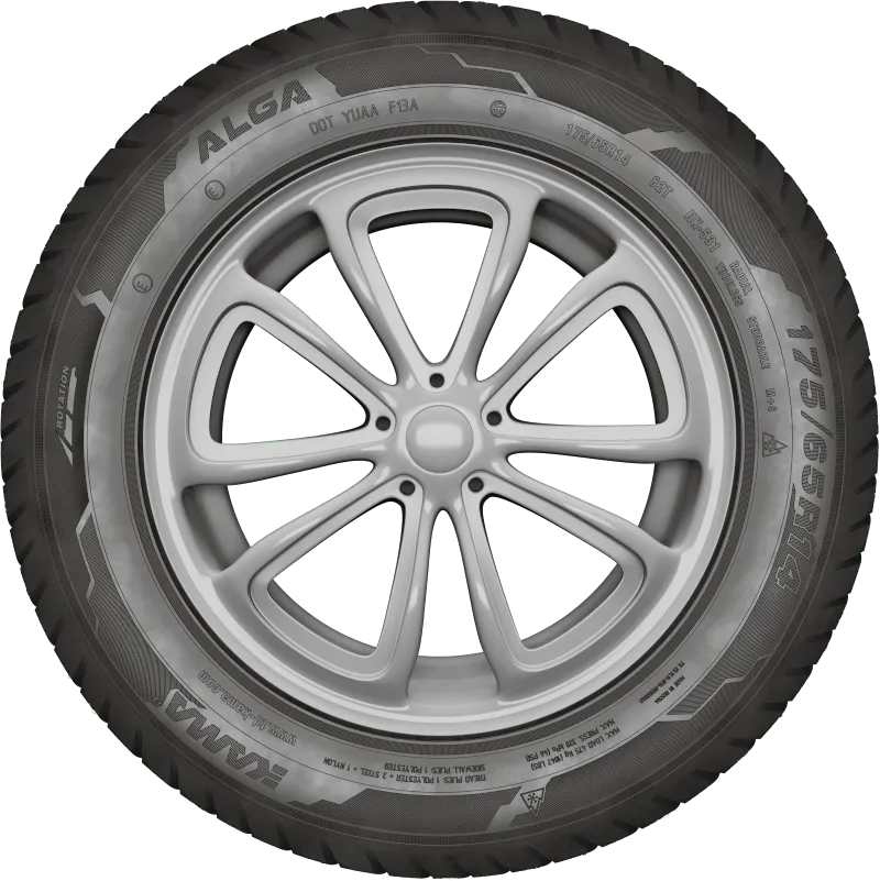 KAMA ALGA (НК-531) нешип в Лаишеве — KAMA TYRES KAMA ALGA (НК-531) нешип в Лаишеве