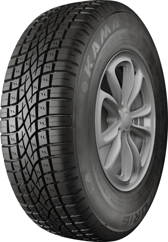 KAMA-221 в Лаишеве — KAMA TYRES KAMA-221 в Лаишеве
